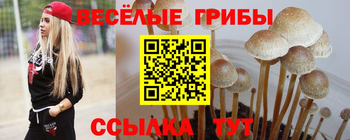 Туапсе  Псилоцибиновые грибы прущие грибы  магазин    Вход с VPN 